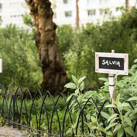 Occidental Aurelia Hotel Roma