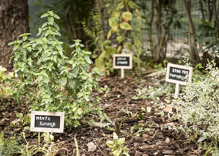 Occidental Aurelia Hotel Rome