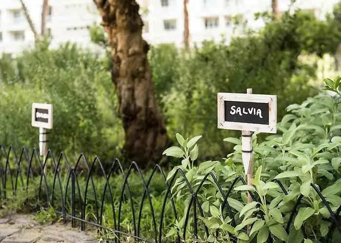 Occidental Aurelia Hotel Rome